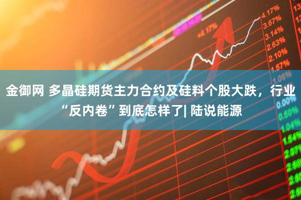 金御网 多晶硅期货主力合约及硅料个股大跌，行业“反内卷”到底怎样了| 陆说能源