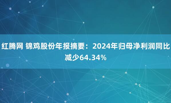 红腾网 锦鸡股份年报摘要：2024年归母净利润同比减少64.34%